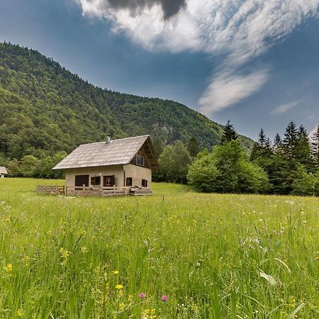 Appartement Pocitniska Hisa Voje à Srednja Vas v Bohinju Extérieur photo