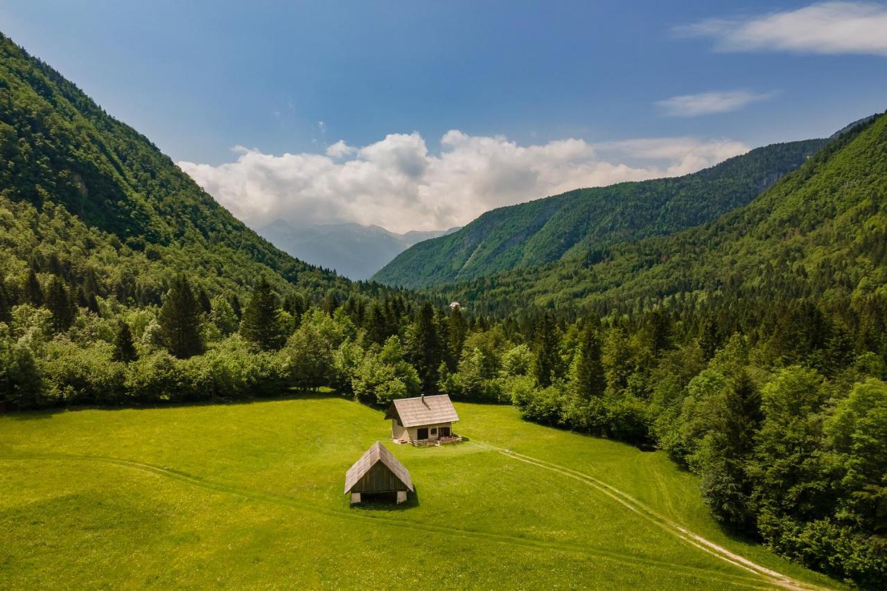 Appartement Pocitniska Hisa Voje à Srednja Vas v Bohinju Extérieur photo