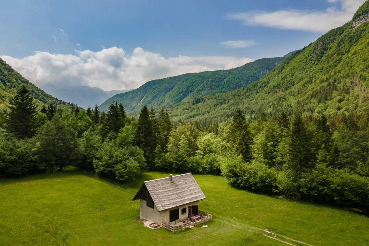 Appartement Pocitniska Hisa Voje à Srednja Vas v Bohinju Extérieur photo