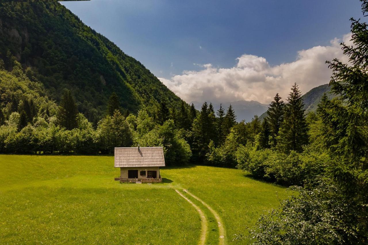 Appartement Pocitniska Hisa Voje à Srednja Vas v Bohinju Extérieur photo