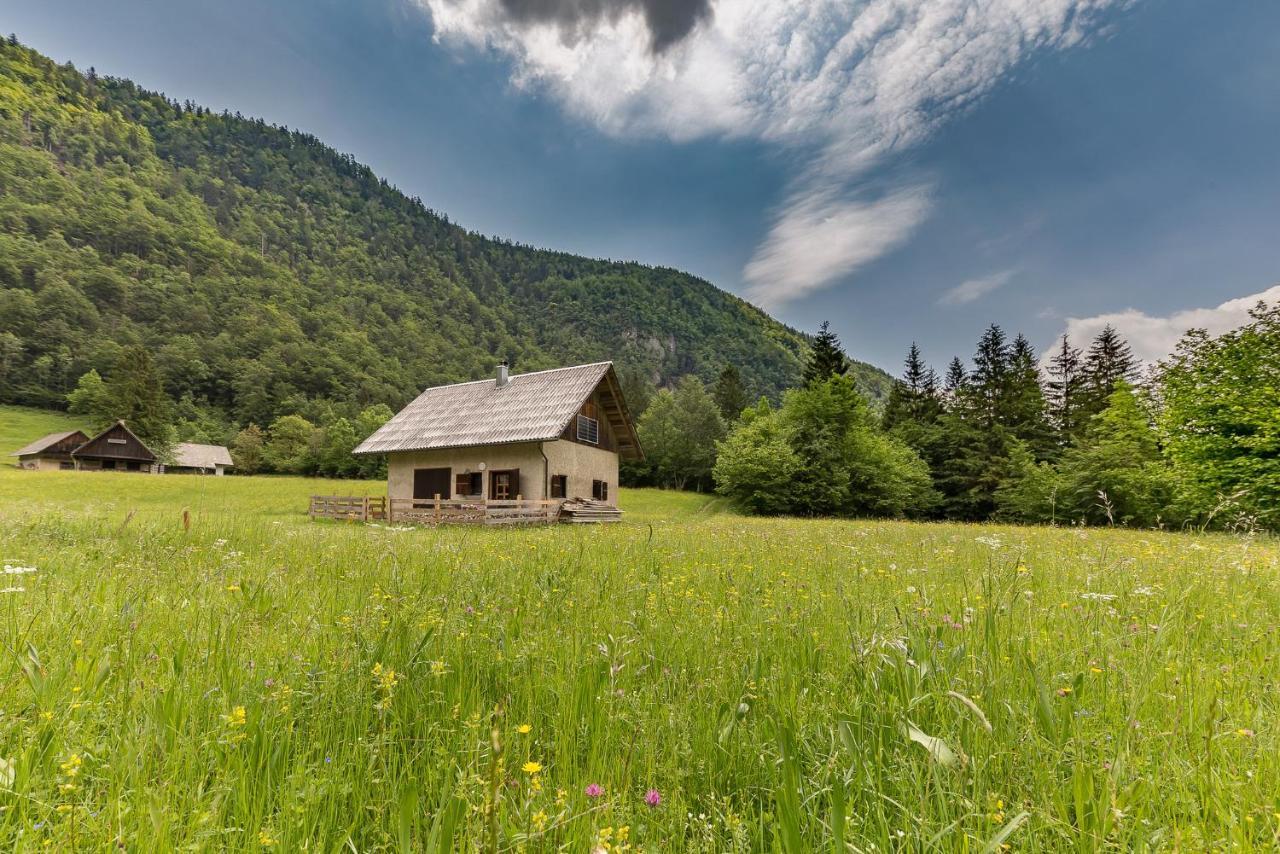 Appartement Pocitniska Hisa Voje à Srednja Vas v Bohinju Extérieur photo